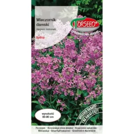 wieczornik-damski-nasiona-wysokie-kwiaty-pachnacy