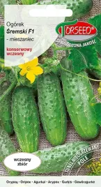 ogorek-sremski-gruntowy-wczesny-odporny-nasiona