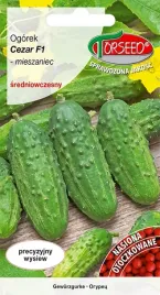 ogorek-gruntowy-cezar-f1-wczesny-nasiona-otoczka