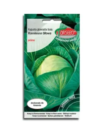 kapusta-glowiasta-biala-kamienna-glowa-nasiona