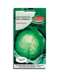 kapusta-slawa-z-golebiewa-nasiona-kapusty