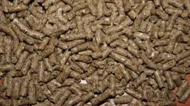 paszakarma-dla-kur-niosek-granulat-1kg