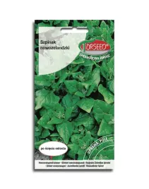 szpinak-nowozelandzki-nasiona-szpinaku
