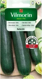 cukinia-dynia-nefertiti-nasiona-cukini-warzyw