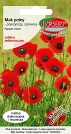 mak-polny-czerwony-nasiona