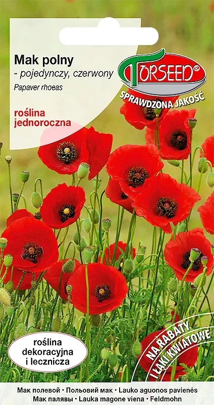 mak-polny-czerwony-nasiona-rodzaj-rosliny-inny