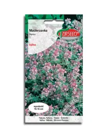 macierzanka-piaskowa-purpurowa-nasiona-kwiatow
