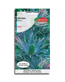 mikolajek-nasiona-niebieska-pieknosc