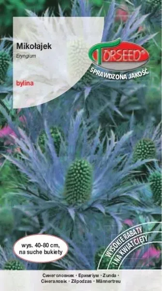 mikolajek-nasiona-niebieska-pieknosc-styl-ogrod-nowoczesny-ogrod-wiejski