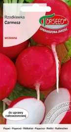 rzodkiewka-carmesa-smaczna-nasiona