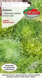 endywia-mieszanka-odmian-nasiona-moc-witamin