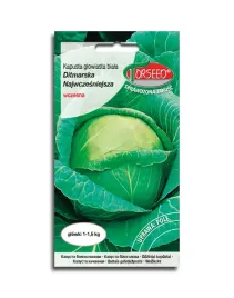 kapusta-glowiasta-biala-ditmarska-najwczesniejsza