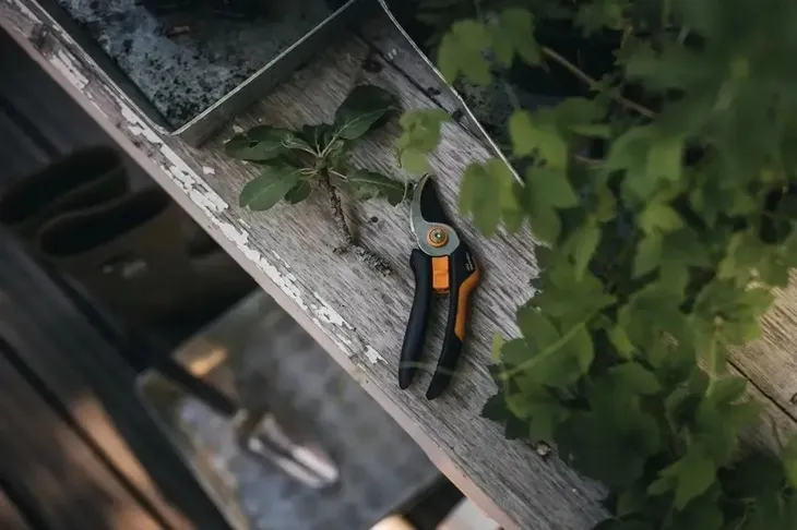 sekator-nozycowy-p321-solid-nowosc-fiskars-new-napiecie-akumulatora-0-v