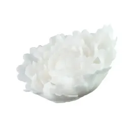 kwiaty-na-tort-z-cukru-piwonia-biala