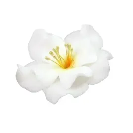 kwiaty-na-tort-z-cukru-magnolia-biala