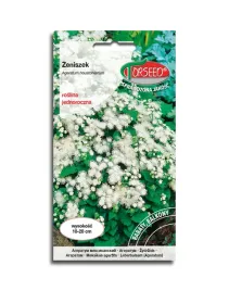 zeniszek-meksykanski-niski-bialy