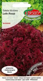 salata-lollo-rossa-lisciowa-czerwona-nasiona