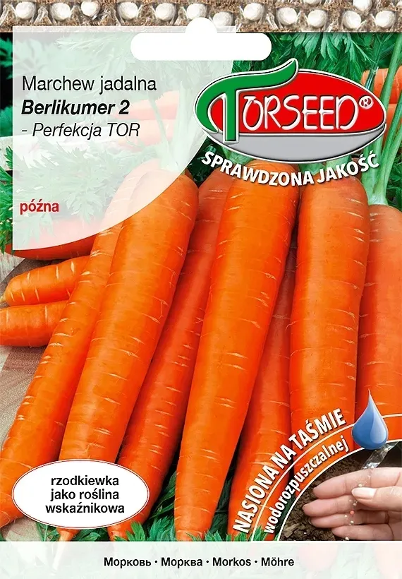 marchew-berlikumer-2-perfekcja-nasiona-tasma-rodzaj-rosliny-marchew