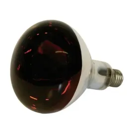 lampa-grzewcza-250w-promiennik-kwoka-zarowki