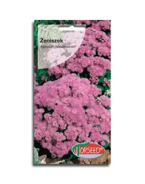 zeniszek-meksykanski-rozowy-nasiona