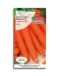 marchew-berlikumer-2-perfekcja-nasiona