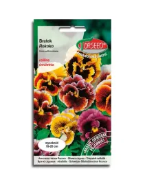 nasiona-bratek-wielkokwiatowy-rokoko