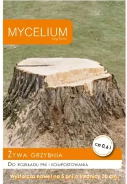 grzybnia-do-usuwania-pni-drzew