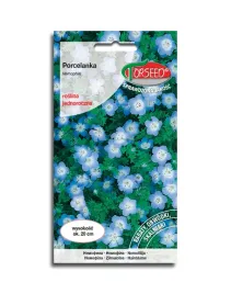 porcelanka-niebieska-nasiona-kwiatow