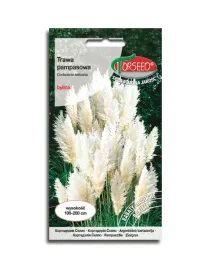 trawa-ozdobna-pampasowa-biala-nasiona