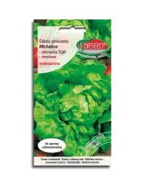 salata-glowiasta-maslowa-michalina