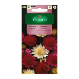 suchokwiat-mieszanka-na-suche-bukiety-vilmorin