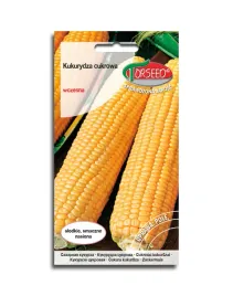 kukurydza-cukrowa-zlota-karlowa-nasiona