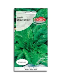 szpinak-olbrzym-zimowy-odporny-plenny