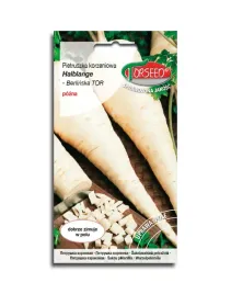 pietruszka-korzeniowa-halblange-berlinska-nasiona