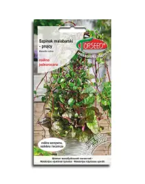 szpinak-malabarski-pnacy-nasiona-10-sztuk-torseed