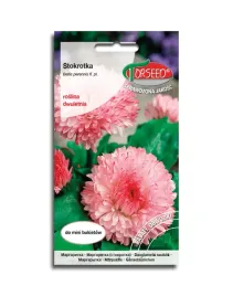 stokrotka-wielkokwiatowa-rozowa-nasiona
