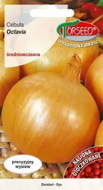 nasiona-cebula-octavia-otoczka-200szt-torseed