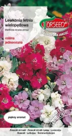 nasiona-lewkonia-wielopedowa-mieszanka-1g-torseed
