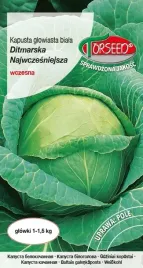 nasiona-kapusta-glowiasta-biala-ditmarska-najwczesniejsza-2g-torseed
