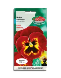 bratek-wielkokwiatowy-czerwony-z-czarna-plama