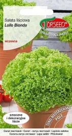 salata-lisciowa-lollo-bionda-wczesna-nasiona