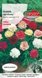 nasiona-gozdzik-ogrodowy-mieszanka-torseed
