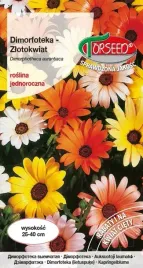 nasiona-zlotokwiat-dimorfoteka-mieszanka-torseed