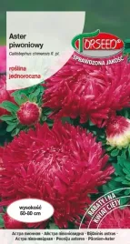 nasiona-aster-wysoki-piwoniowy-karminowy-05g-torseed