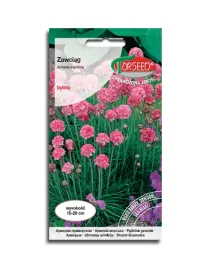 zawciag-nadmorski-rozowy-nasiona