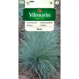 niebieska-trawa-kostrzewa-sina-nasiona-wieloletnia