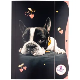 teczka-z-gumka-a4-piesek-beniamin