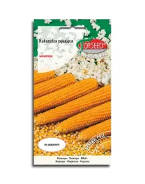 kukurydza-plomyk-nasiona-pekajaca-popcorn