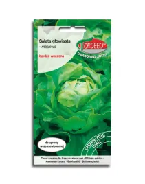 salata-maslowa-ewelina-nasiona