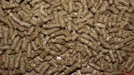 granulat-karma-pasza-dla-krolikow-tucz-1-kg